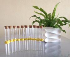 DIY-VASES-SOLIFLOR-FINAL-COUBE