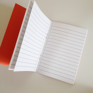 neejolie-loiciaitrema-18