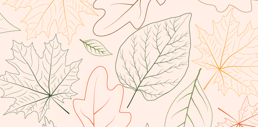 Wallpapers #3 – Autumn&nbsp;Leaves
