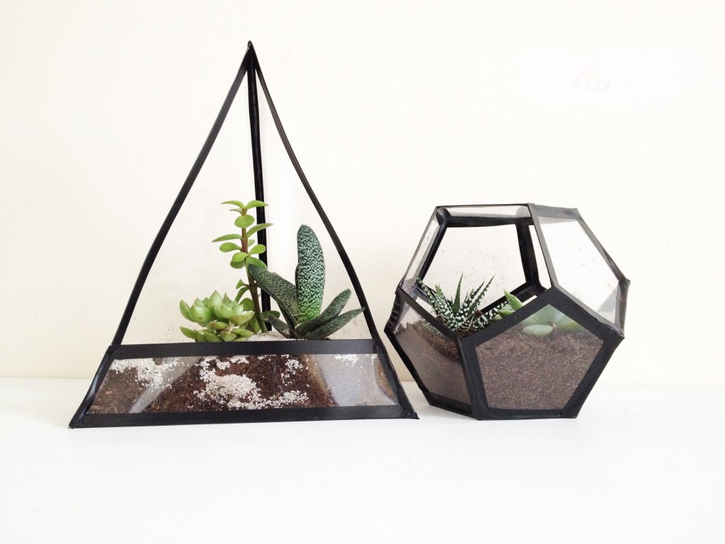 DIY & Terrarium