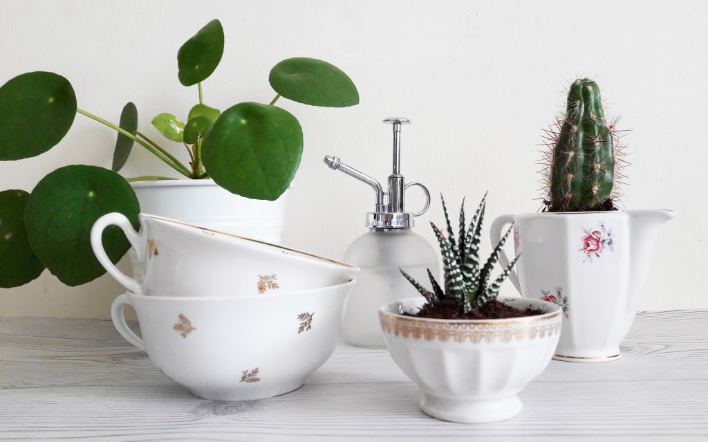 DIY & Teacup&nbsp;Garden!