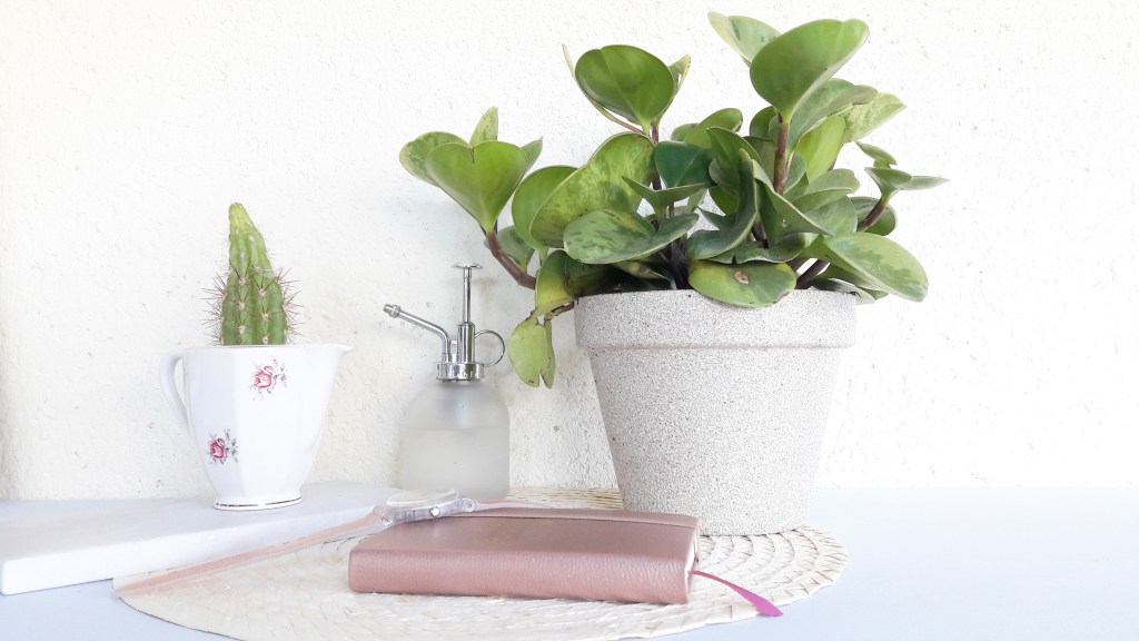 DIY & Pot en &laquo;&nbsp;pierre&nbsp;&raquo;