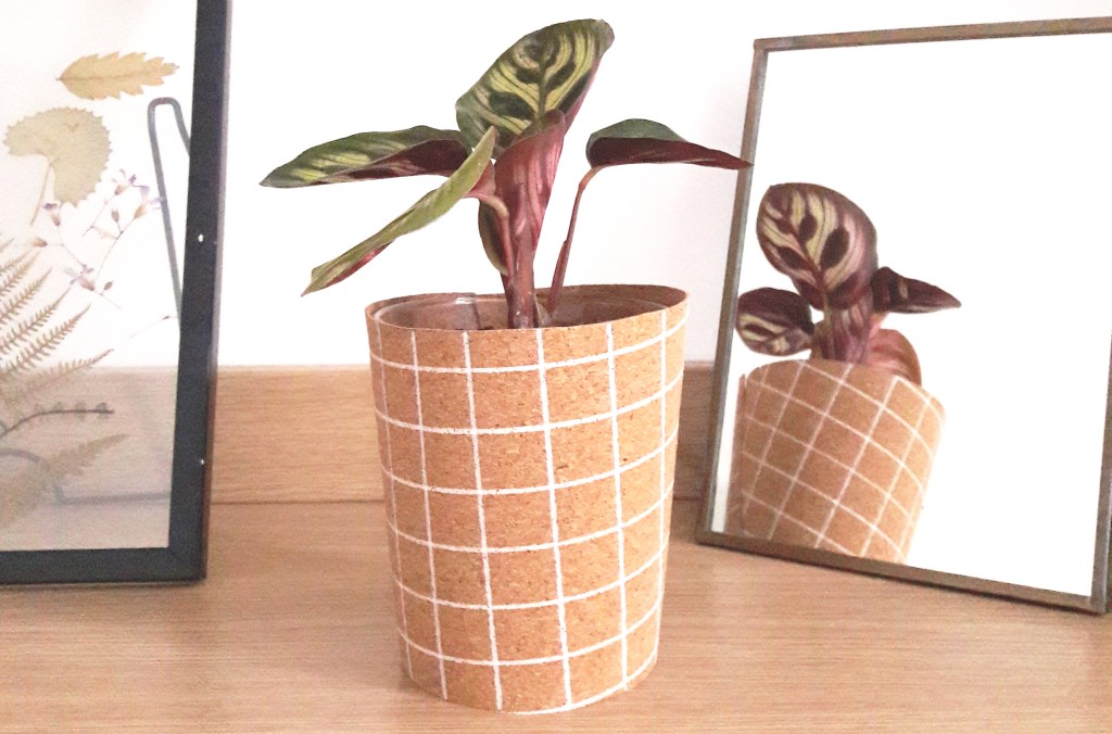 DIY & Petit pot en liège