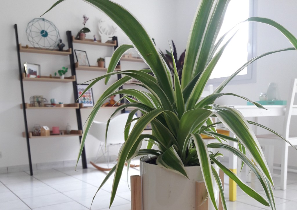 Happy Month #2 – Juillet&nbsp;2017