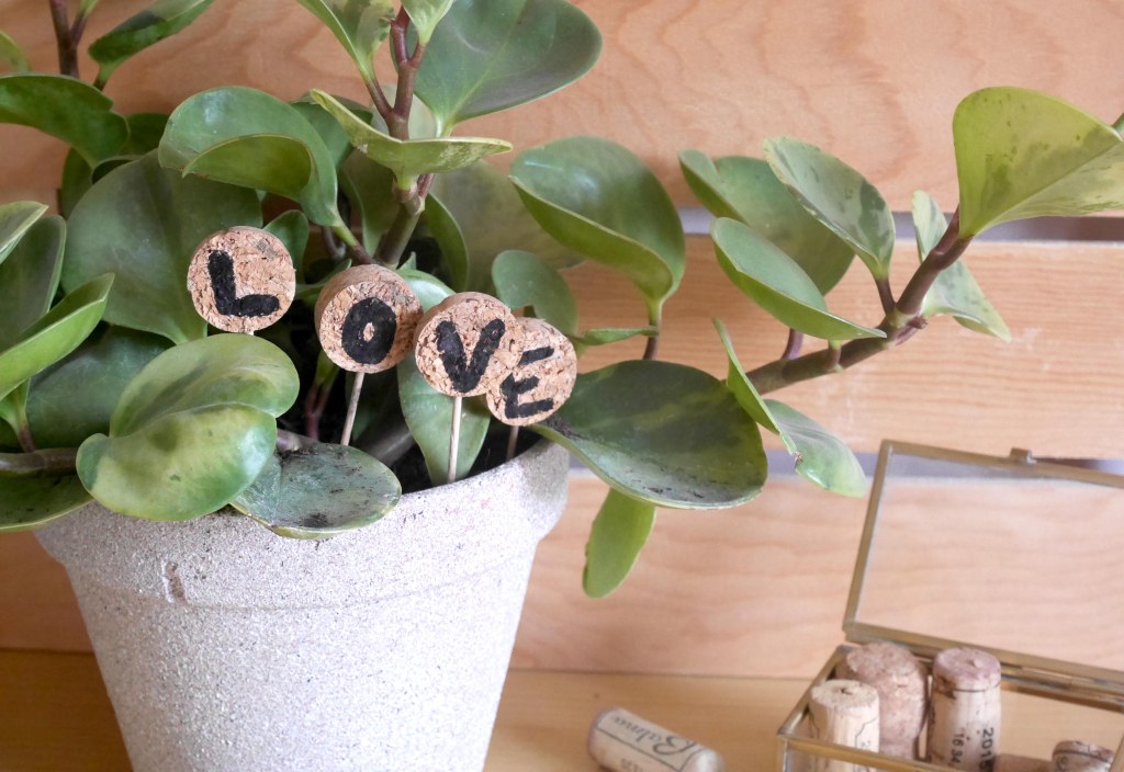 DIY & Étiquettes en&nbsp;liège