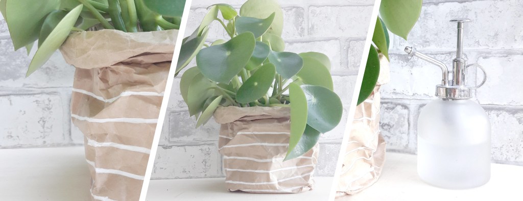 DIY & Paper&nbsp;Bag