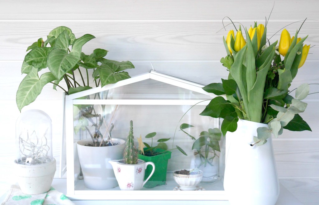 Happy Month #5 – Janvier 2018&nbsp;(+concours)