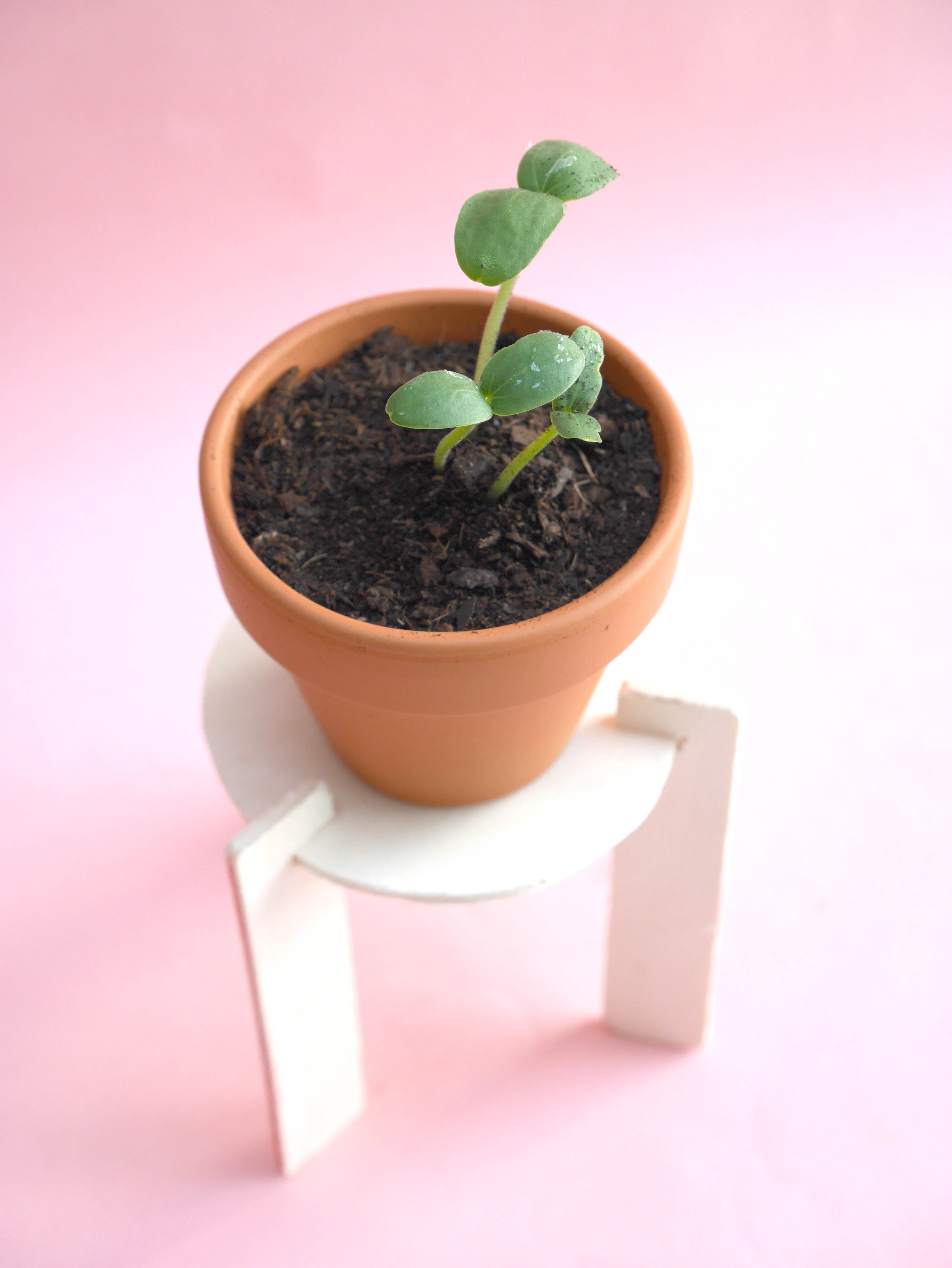 DIY-loiciaitrema-porteplante-10