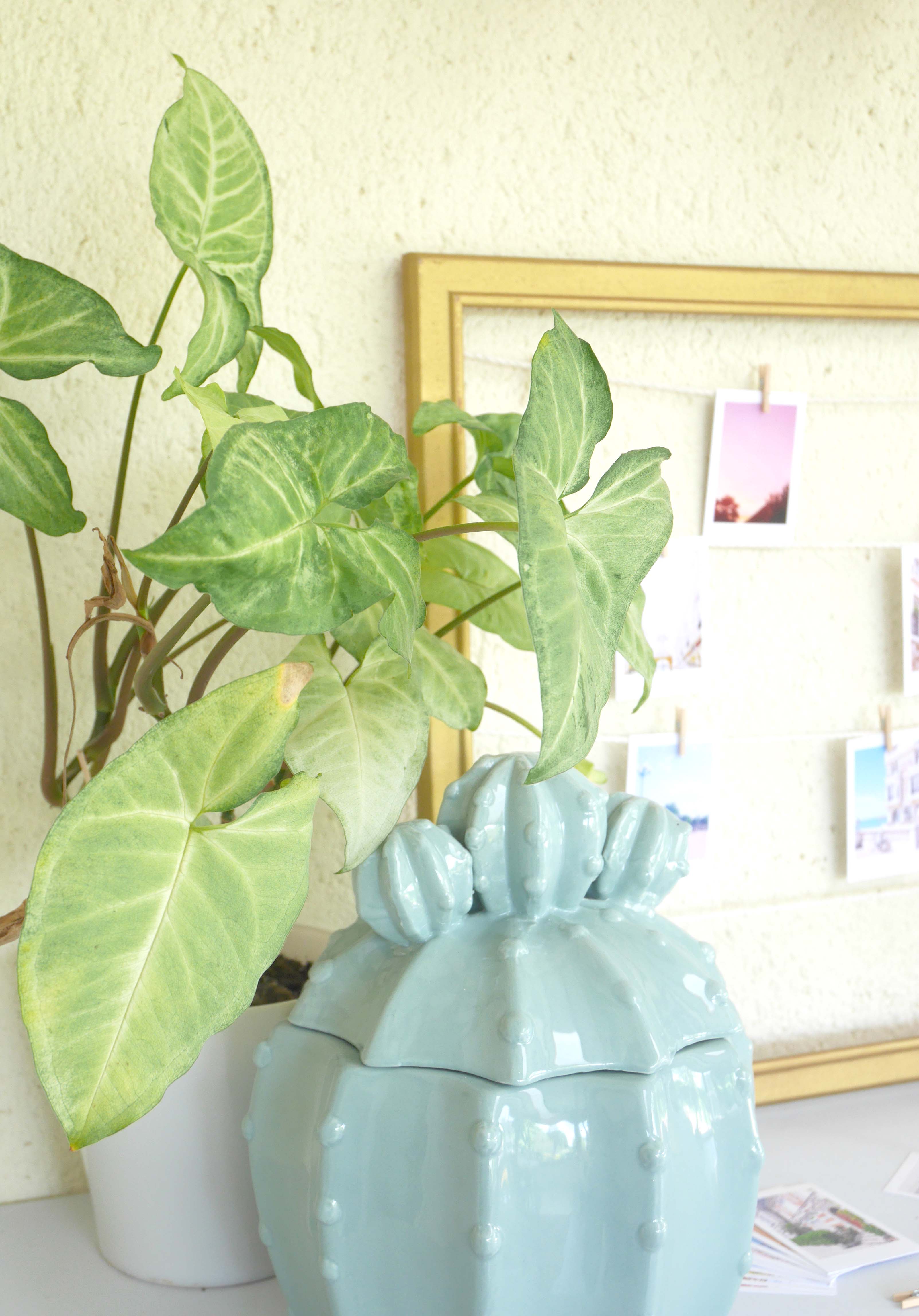 DIY-loiciaitrema-cadrephoto-11