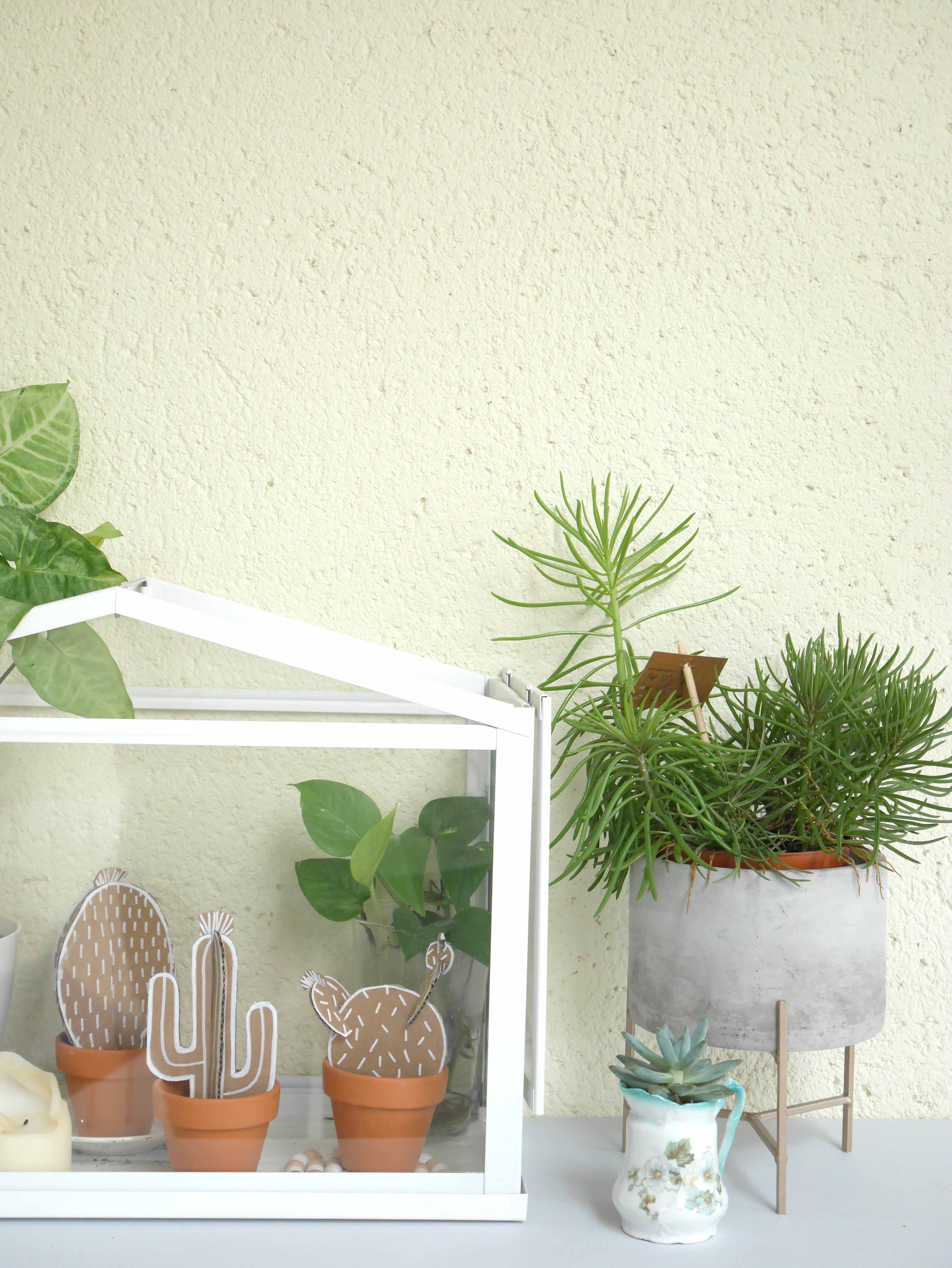 DIY-CartonCactus-10