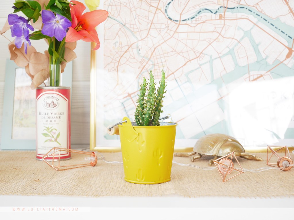 DIY & Petit Pot Color&nbsp;Pop