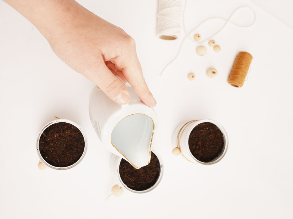 DIY & Petits pots de semis