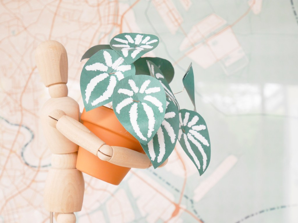 DIY & Plante verte en&nbsp;papier