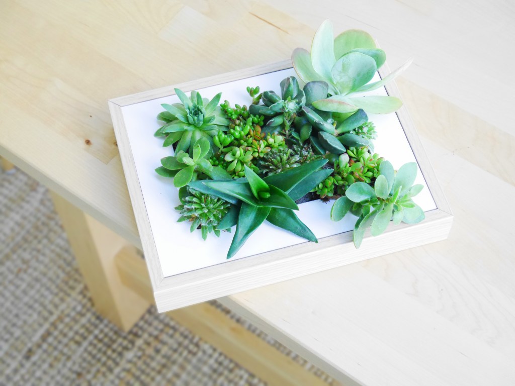 DIY & Cadre&nbsp;végétal